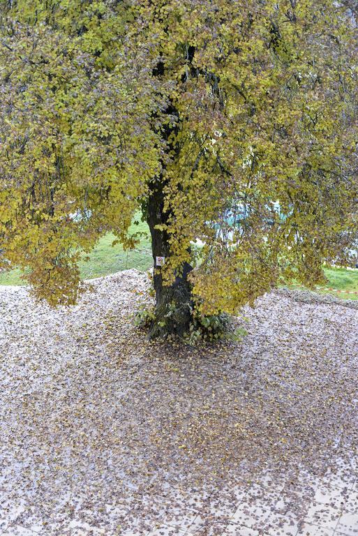 L'Escale En Ubaye Bed & Breakfast Saint-Pons  Eksteriør bilde